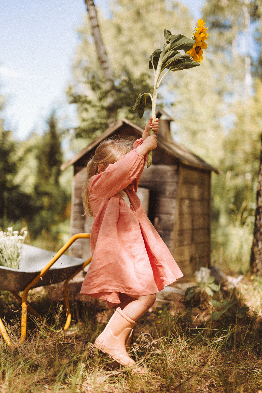 Finch Dress